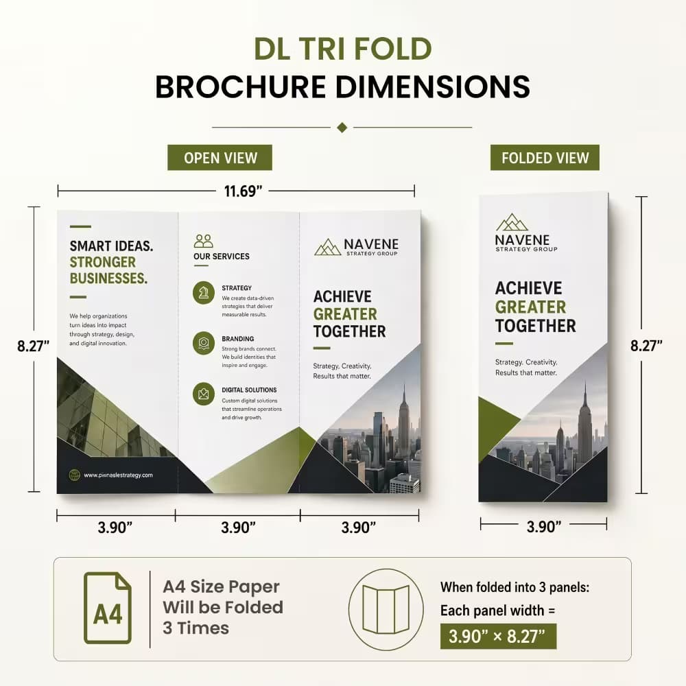 An infographic showing the dimensions of a DL tri-fold brochure in both its open and folded views.